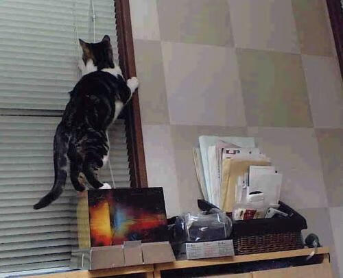 体育市场竞争力分析报告，体育行业竞争格局