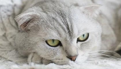 九游官网-中国青少年篮球普及政策成效评估，中国青少年篮球发展