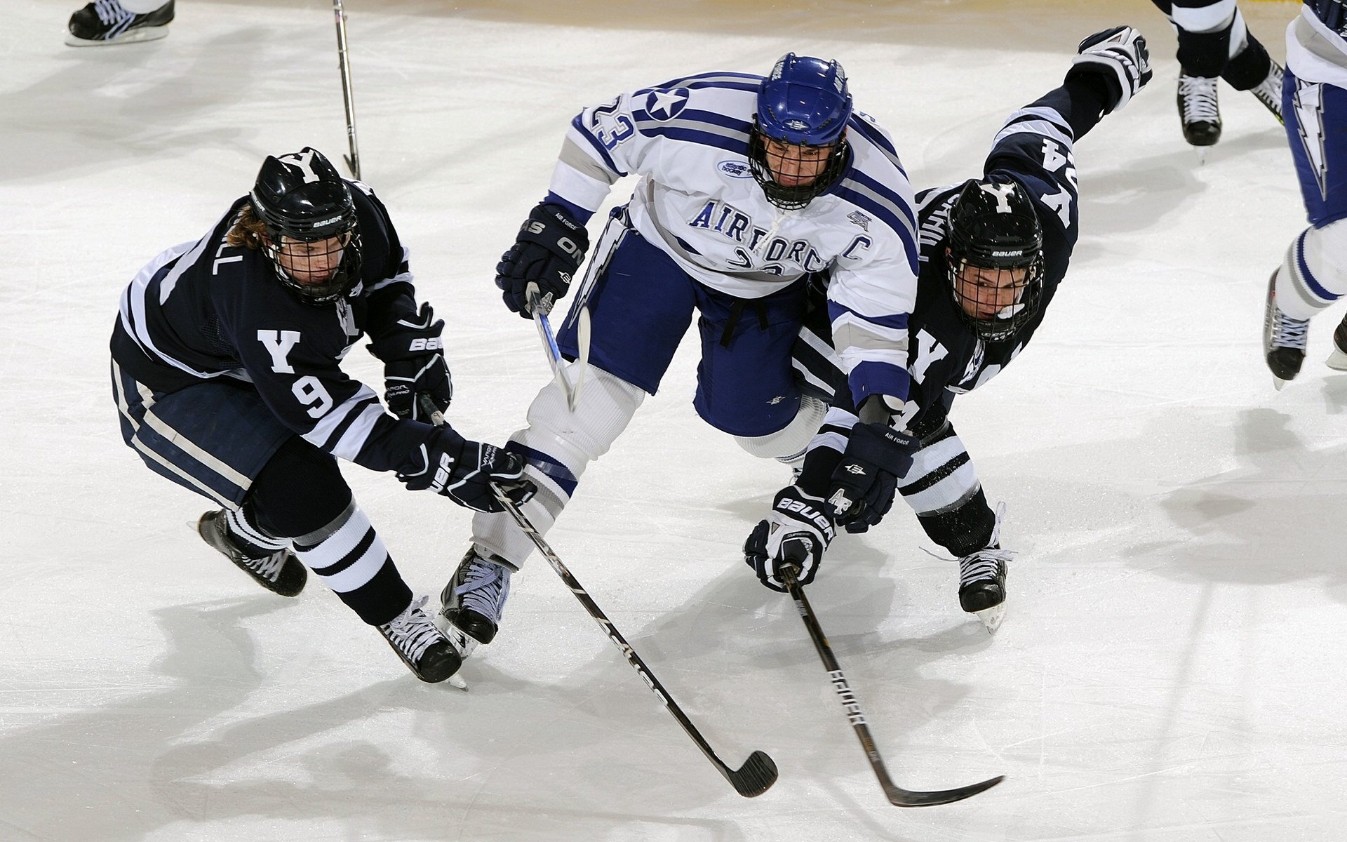 中国马拉松精英联赛 将国内各大金标赛事积分统一纳入年度排名